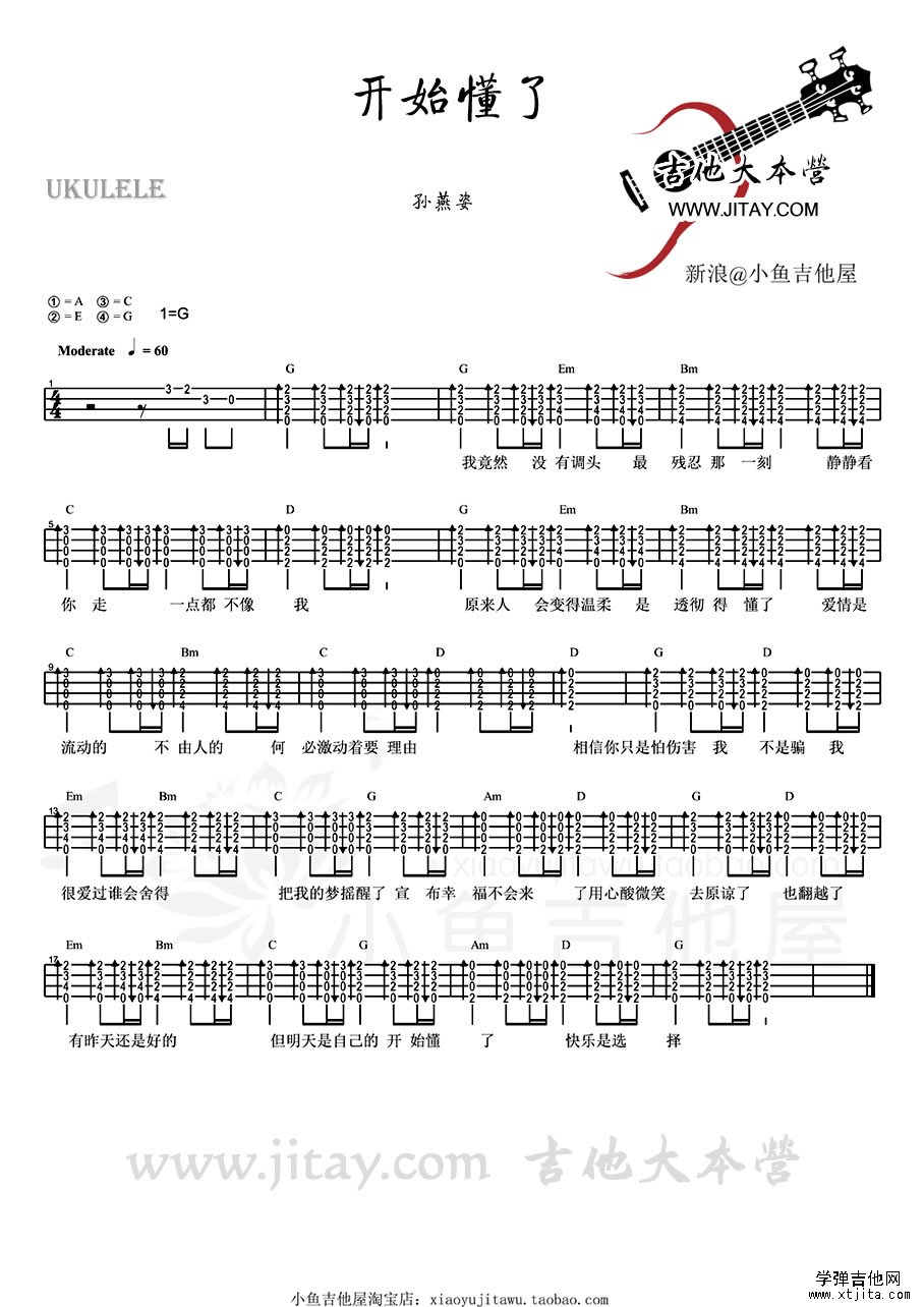 开始懂了ukulele
